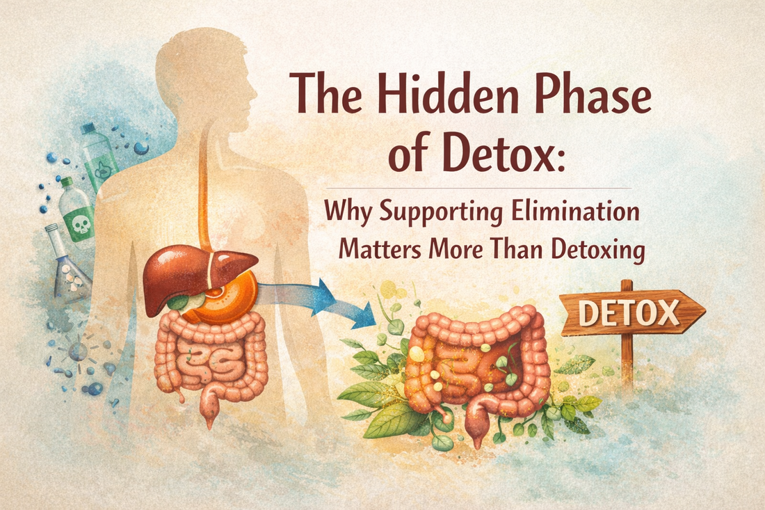 The Hidden Phase of Detox: Why Supporting Elimination Matters More Than Detoxing